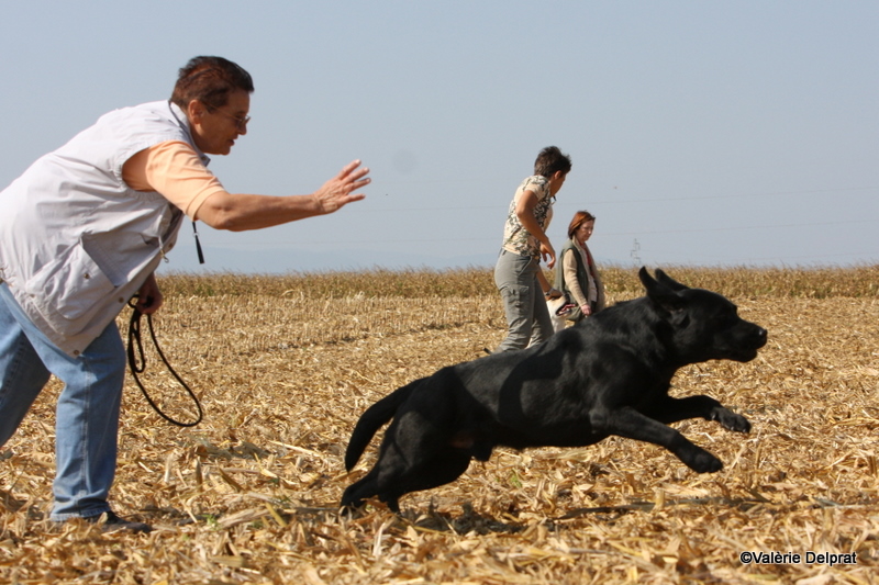 Field Erstein 09 (74).JPG